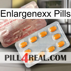 Enlargenexx Pills new13